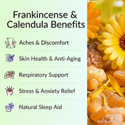 Calendula Oil